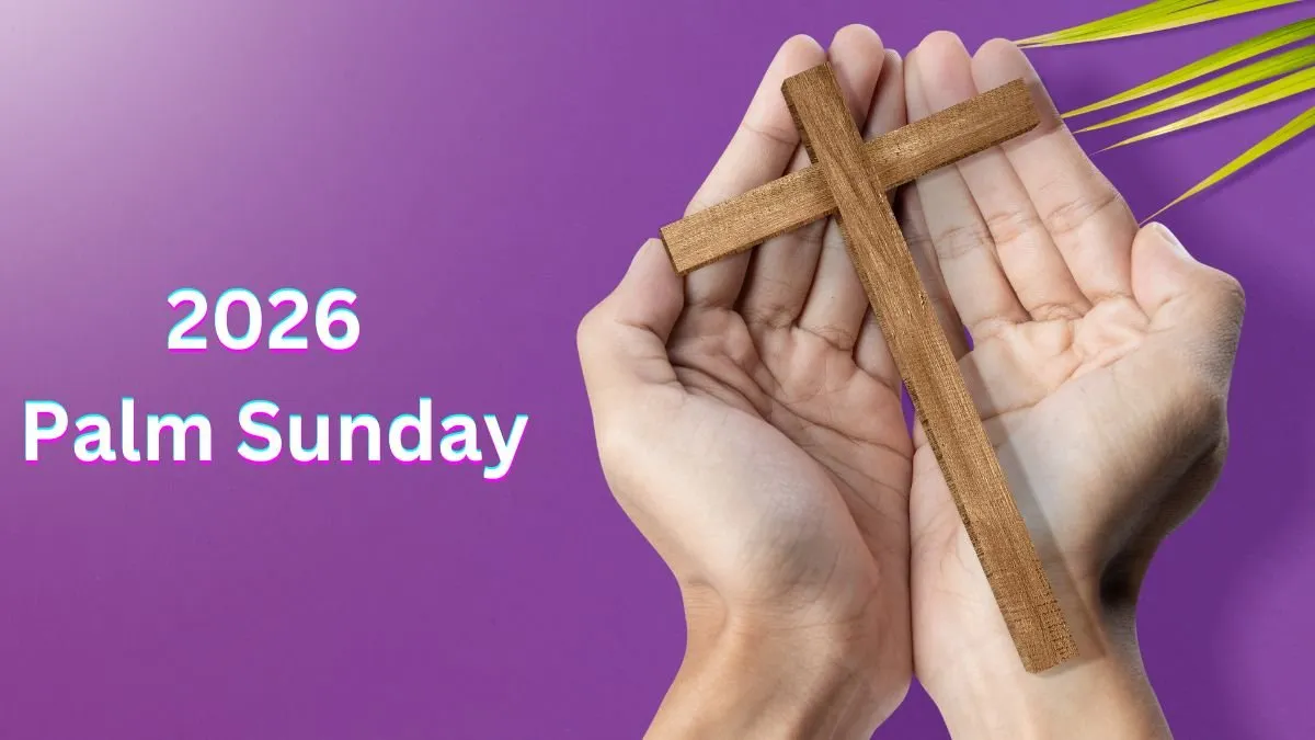 Palm Sunday 2026: A Celebration in St. Peter’s Square