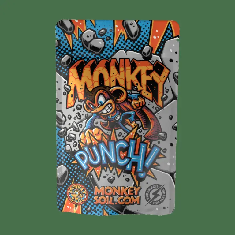 Punch the Monkey Captivates Visitors at Ichikawa City Zoo