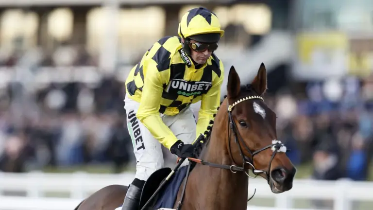 Sir Gino: A Beloved Racehorse’s Journey and Legacy