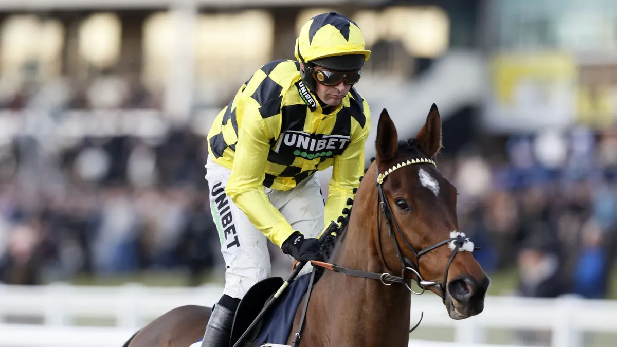 Sir Gino: A Beloved Racehorse’s Journey and Legacy