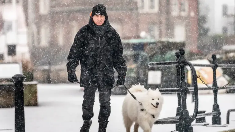 Snow Weather Forecast: UK Set for Cold Snap and Snowfall