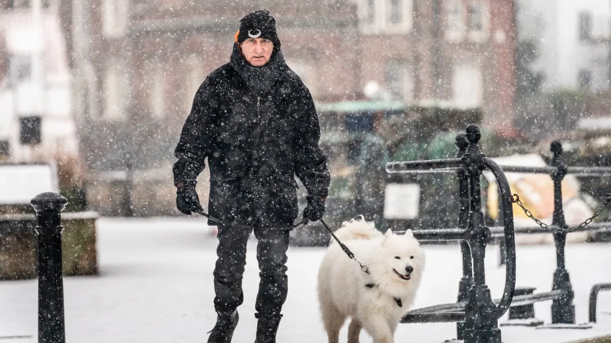 Snow Weather Forecast: UK Set for Cold Snap and Snowfall