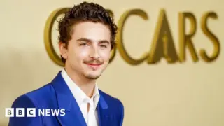 Timothee chalamet sparks outrage with comments on ballet and opera