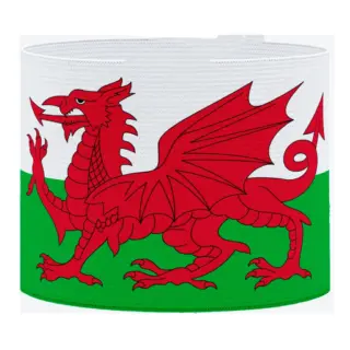Wales FC: A New Era Begins