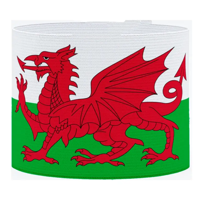 Wales FC: A New Era Begins