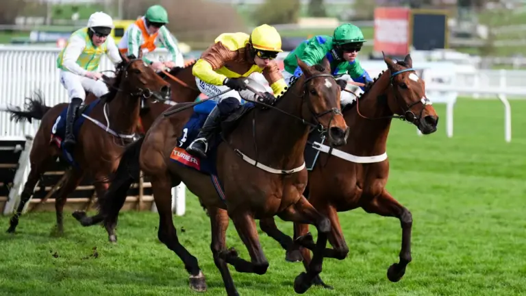 Willie mullins secures eighth Turners Novices’ Hurdle victory