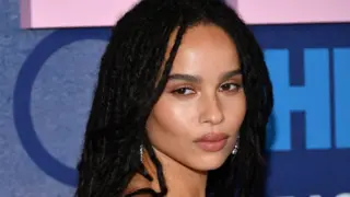 Zoe Kravitz and Harry Styles Spotted Together in New York City