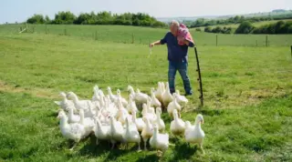 Clarkson’s Farm Season 5 Date: Premiere on June 3, 2026