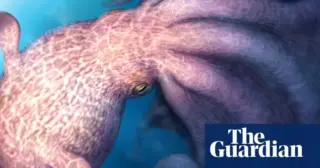 Giant Octopus: The Predators of the Cretaceous Oceans