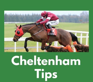 Horse racing tips guide for cheltenham and fast results   