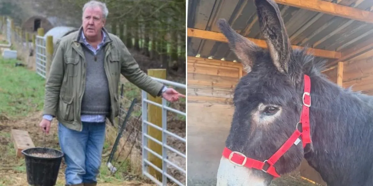 Jeremy clarkson: Oxfordshire Welcomes ‘s New Donkey Ben