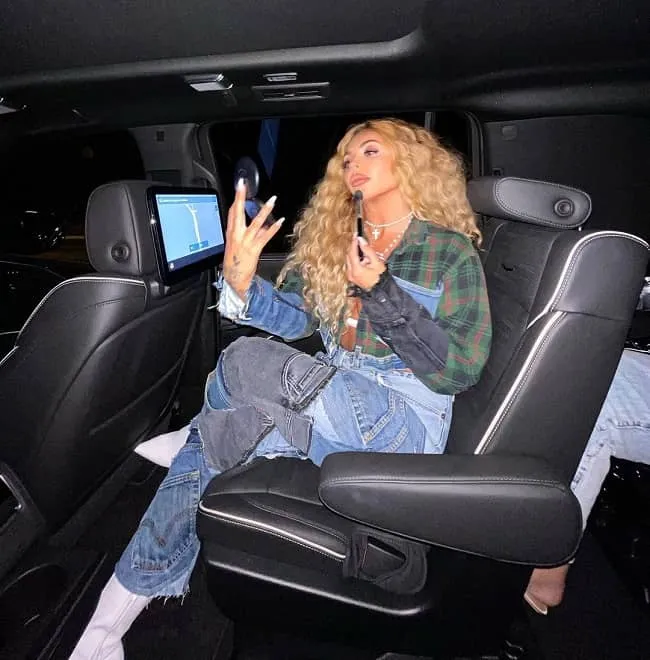 Jesy nelson car stolen: Brentwood: Jesy Nelson’s Car Stolen in Heartbreaking Incident