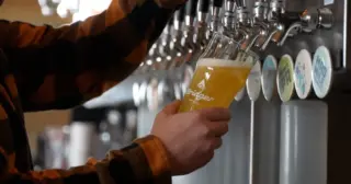 Montana Brewing and Elections Update