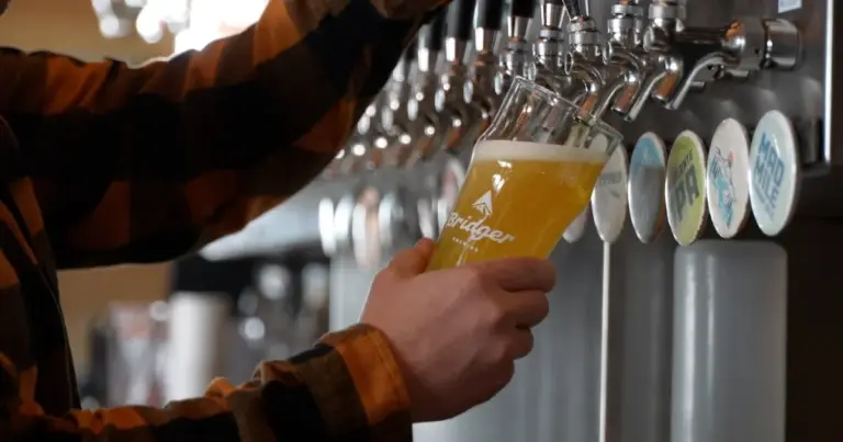 Montana Brewing and Elections Update