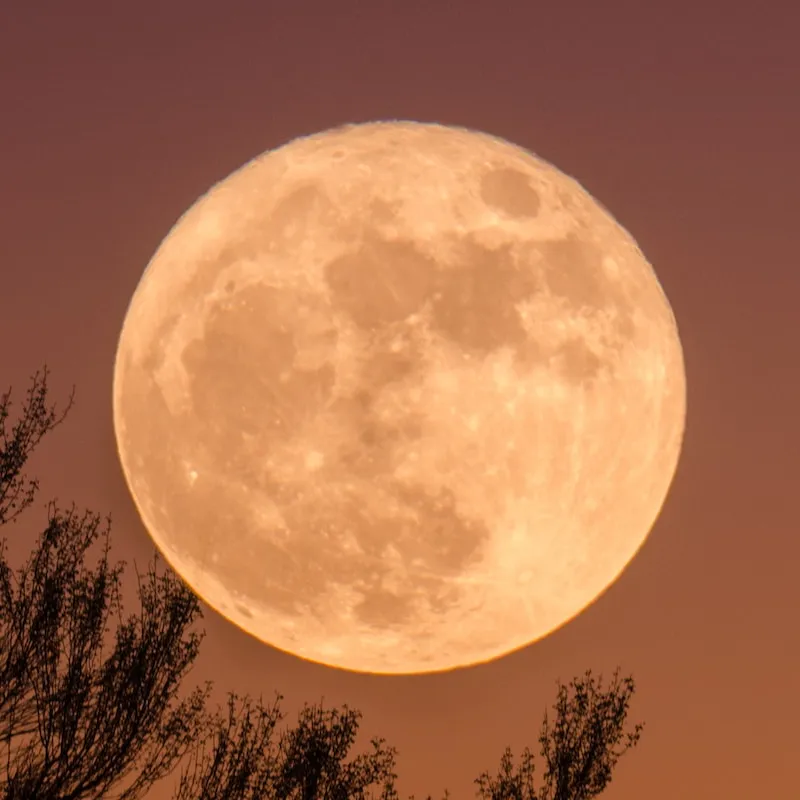 Moon Tonight: Full Pink Moon Shines Over North America