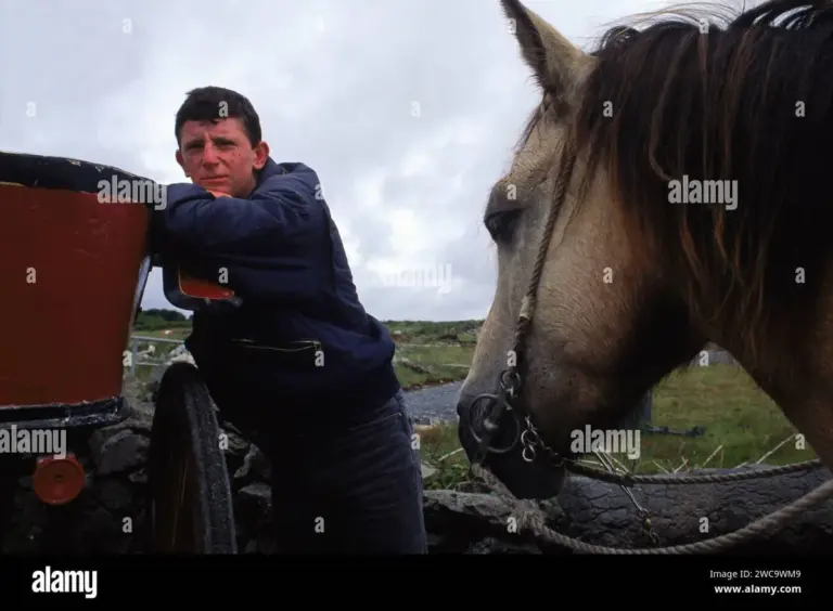 Pony and trap: Tragic Collision Involving  in East Peckham