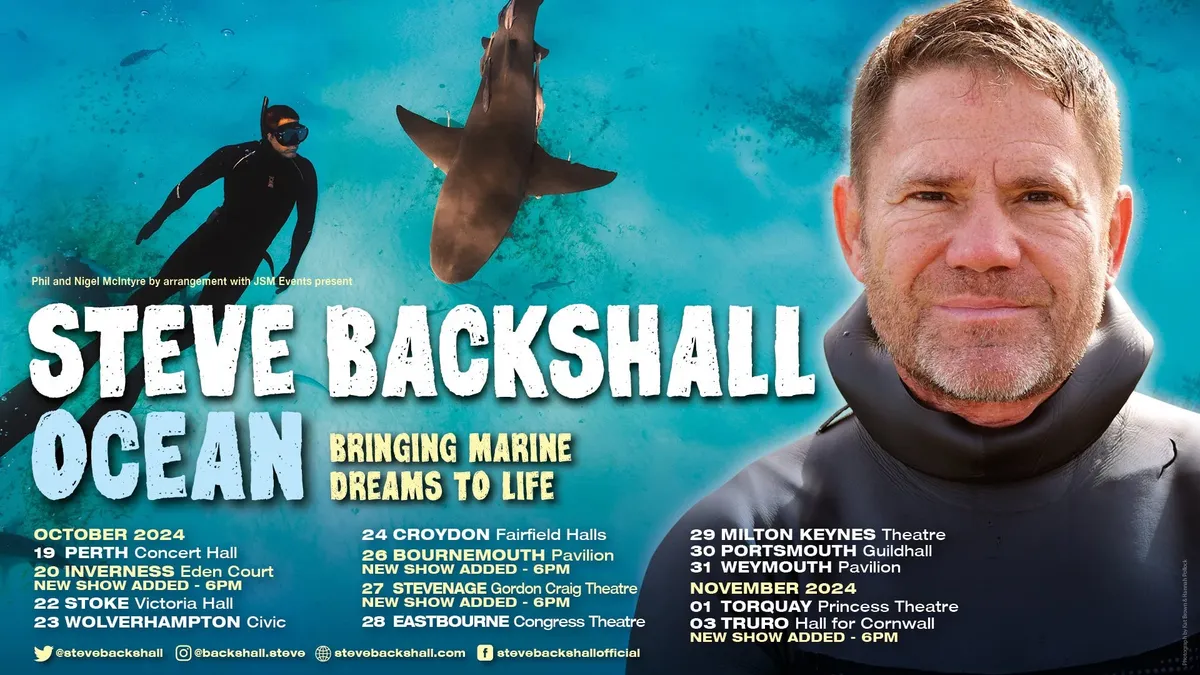 Steve backshall: Falmouth Bay Welcomes  and Rare Orca Sighting
