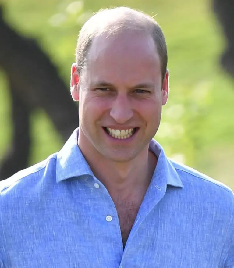 William, Prince of Wales: A Shift in Royal Dynamics