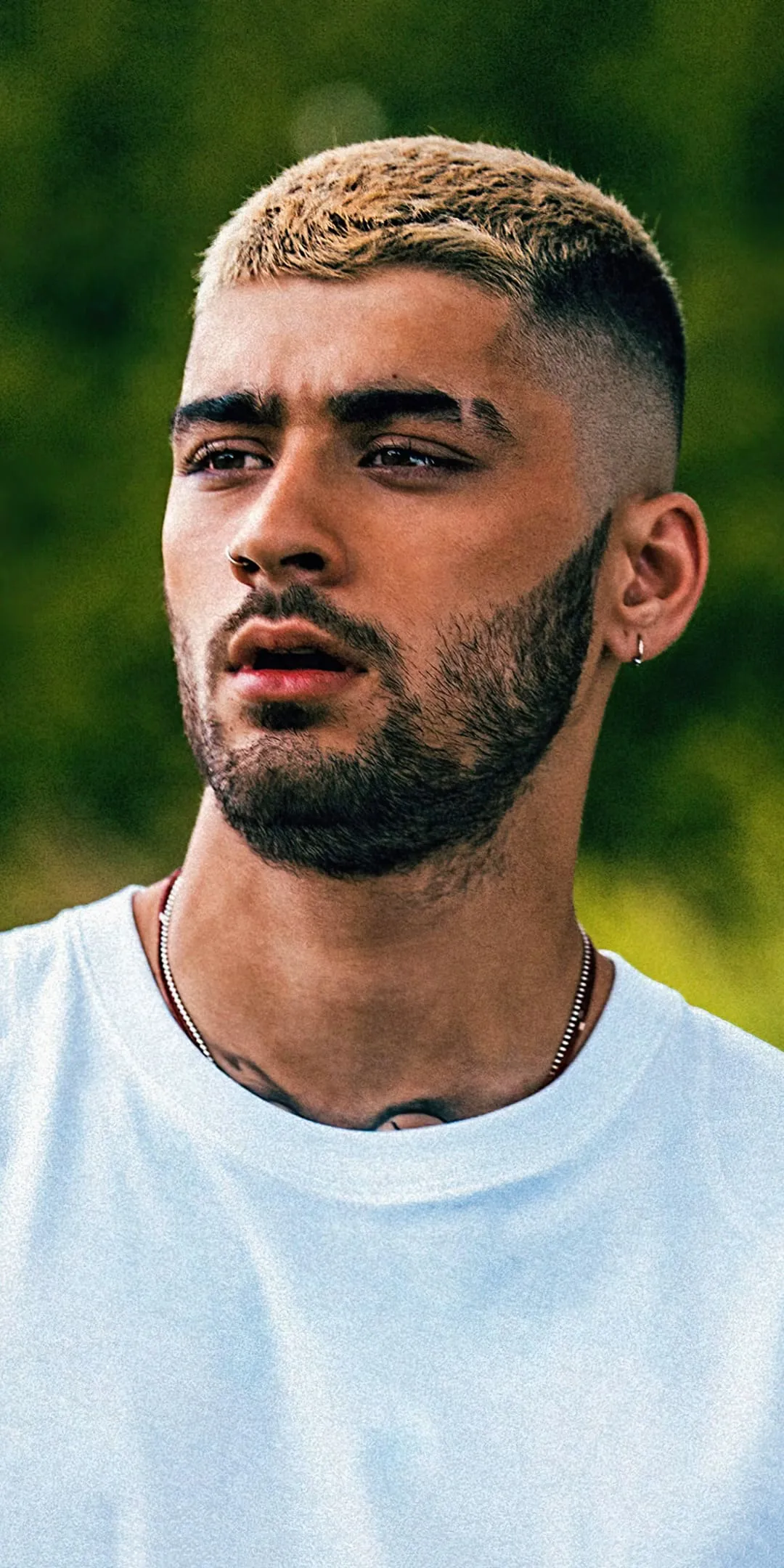 Zayn Malik Updates: New Music and Family Moments