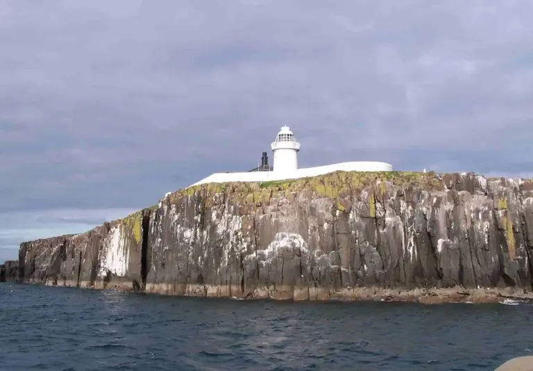 Farne Islands: Puffin Cam Returns for a Second Season