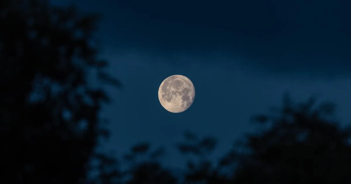 Flower Moon to Shine Over the UK on May 1, 2026