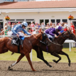 Chelmsford tips for Polytrack form and smarter race reading  