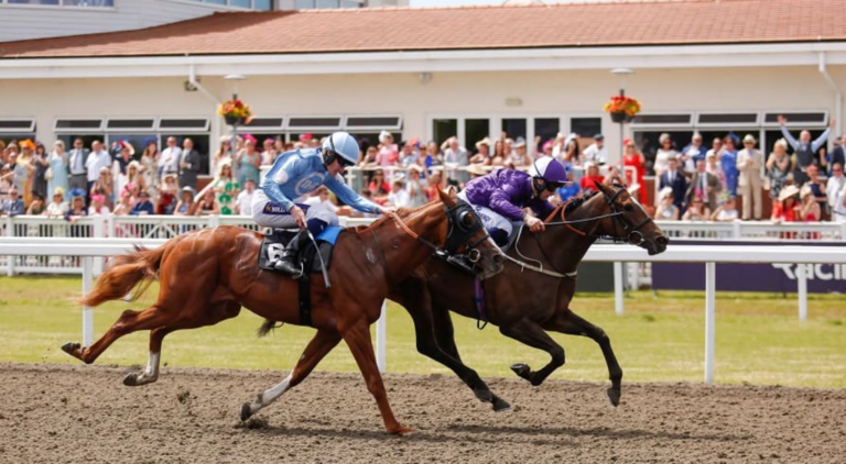 Chelmsford tips for Polytrack form and smarter race reading  
