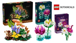 Mushroom: LEGO’s Woodland s Set: A New Chapter for Mushrooms