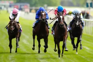 Newcastle: Thunder among top contenders for Northumberland Plate success