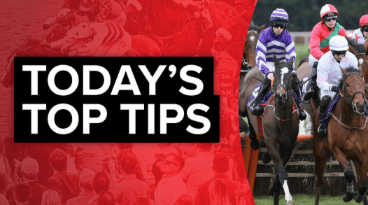 Racing post tips guide for UK horse racing analysis 