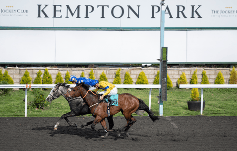 Kempton tips guide for racecards, form and trainer angles