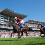 York Racecourse guide for tickets, meetings and visitor planning  