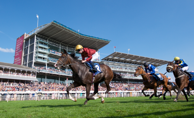 York Racecourse guide for tickets, meetings and visitor planning