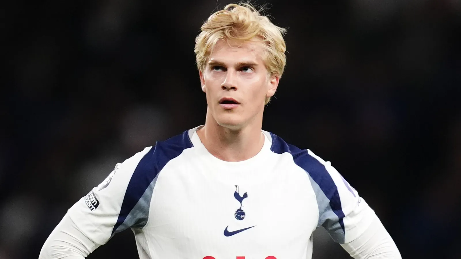 Lucas Bergvall, Tottenham midfielder
