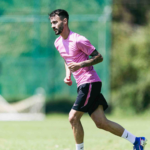 Fabio Vieira: Football Player Biography 