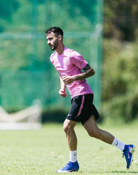 Fabio Vieira: Football Player Biography 